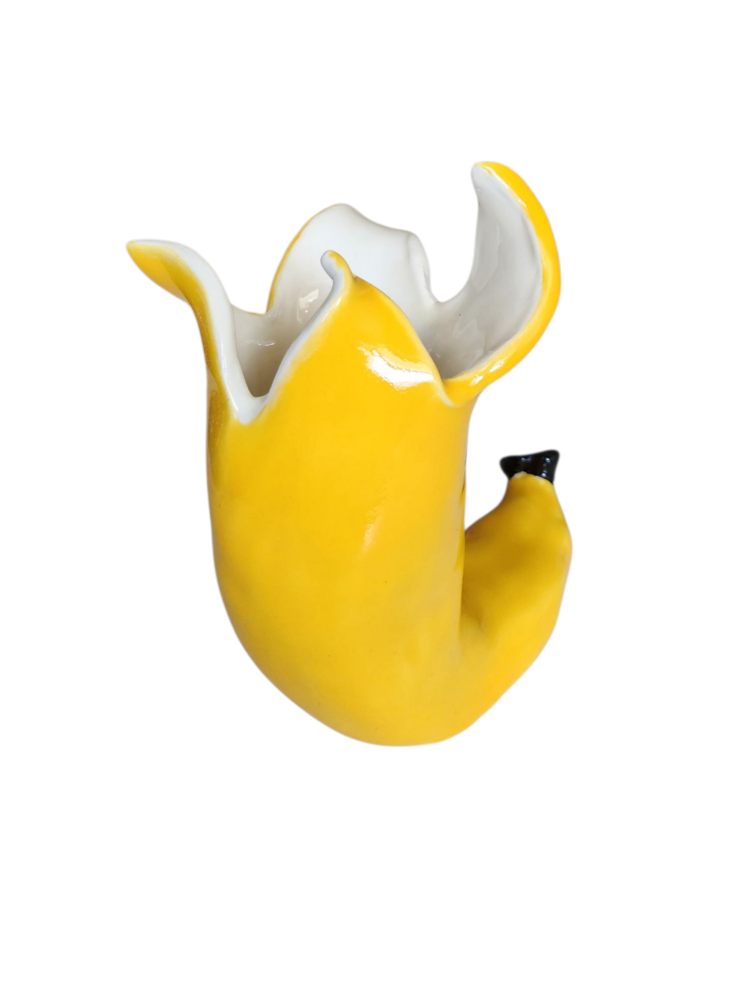 Split Banana Vase
