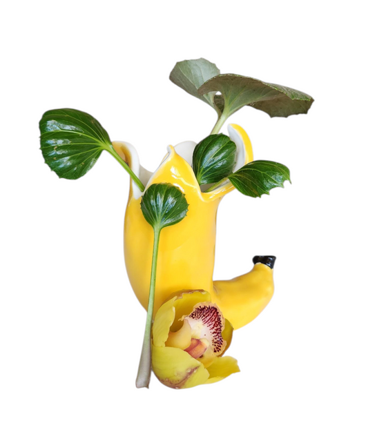 Split Banana Vase