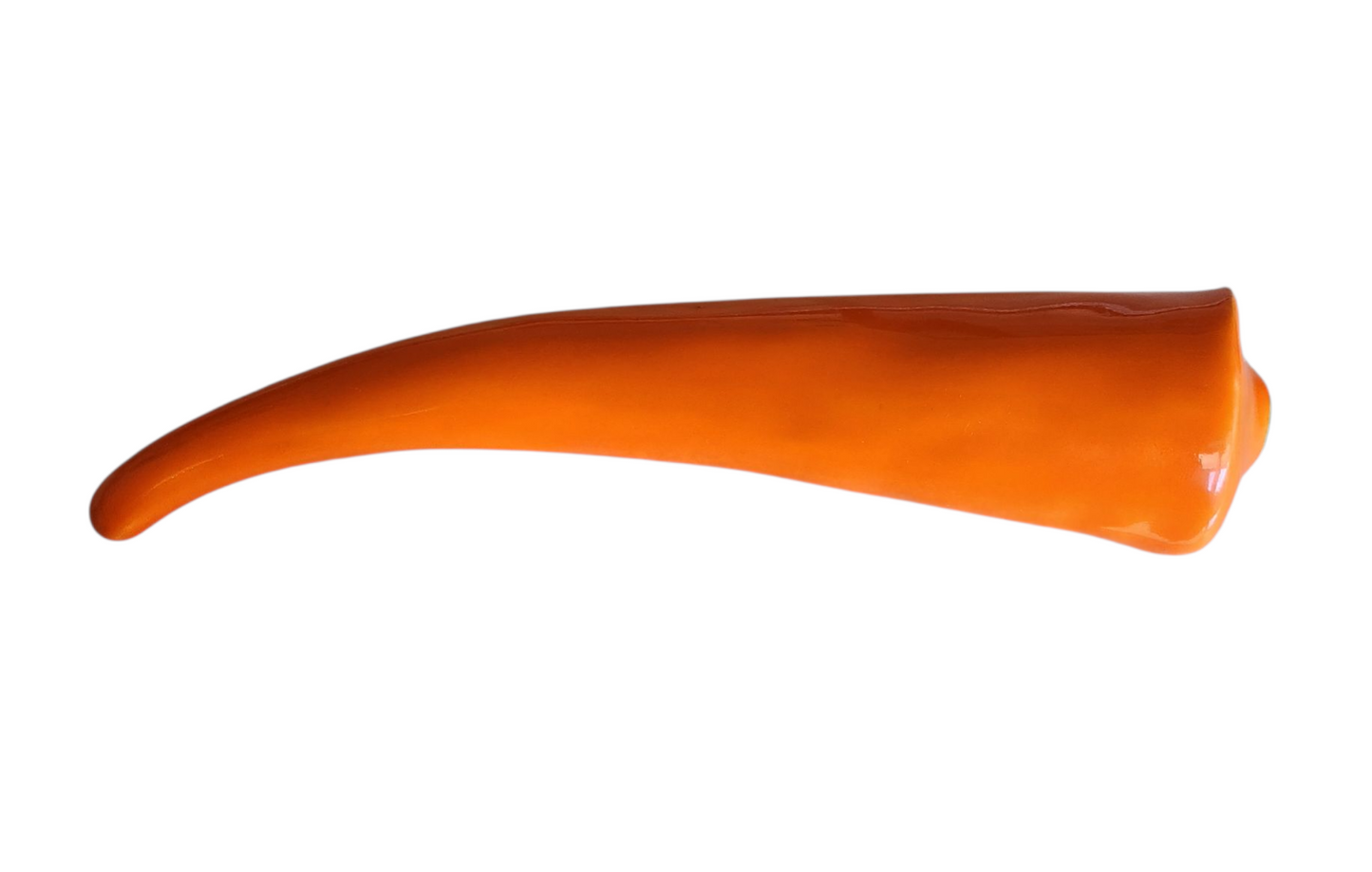 Carrot!🥕