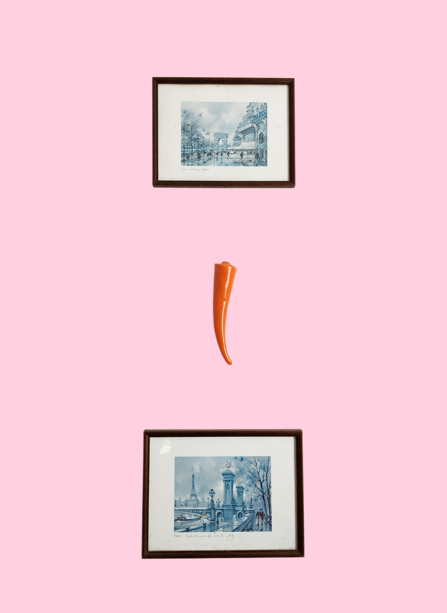 Carrot!🥕