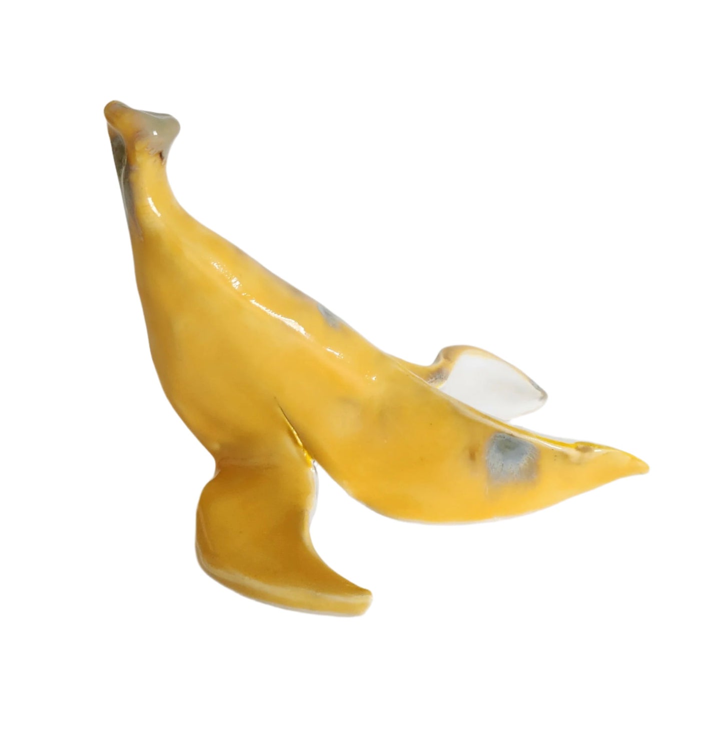 Crystalised Banana skin