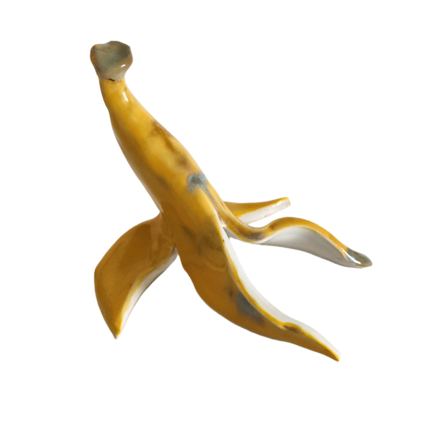 Crystalised Banana skin