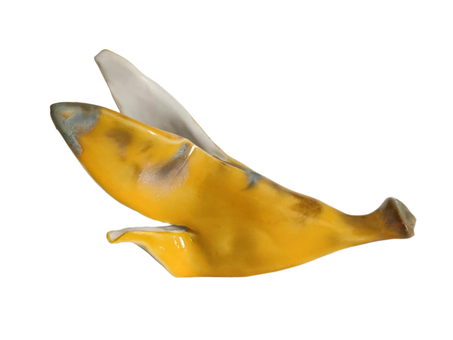 Crystalised Banana skin