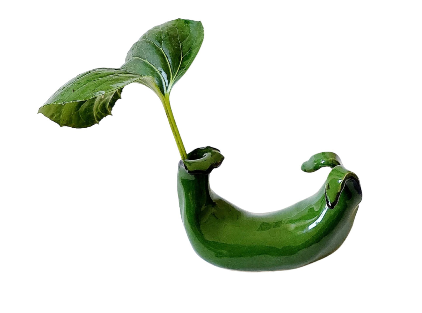 Green Banana Horn Vase