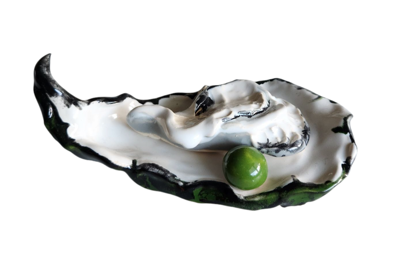 Oyster in 3
