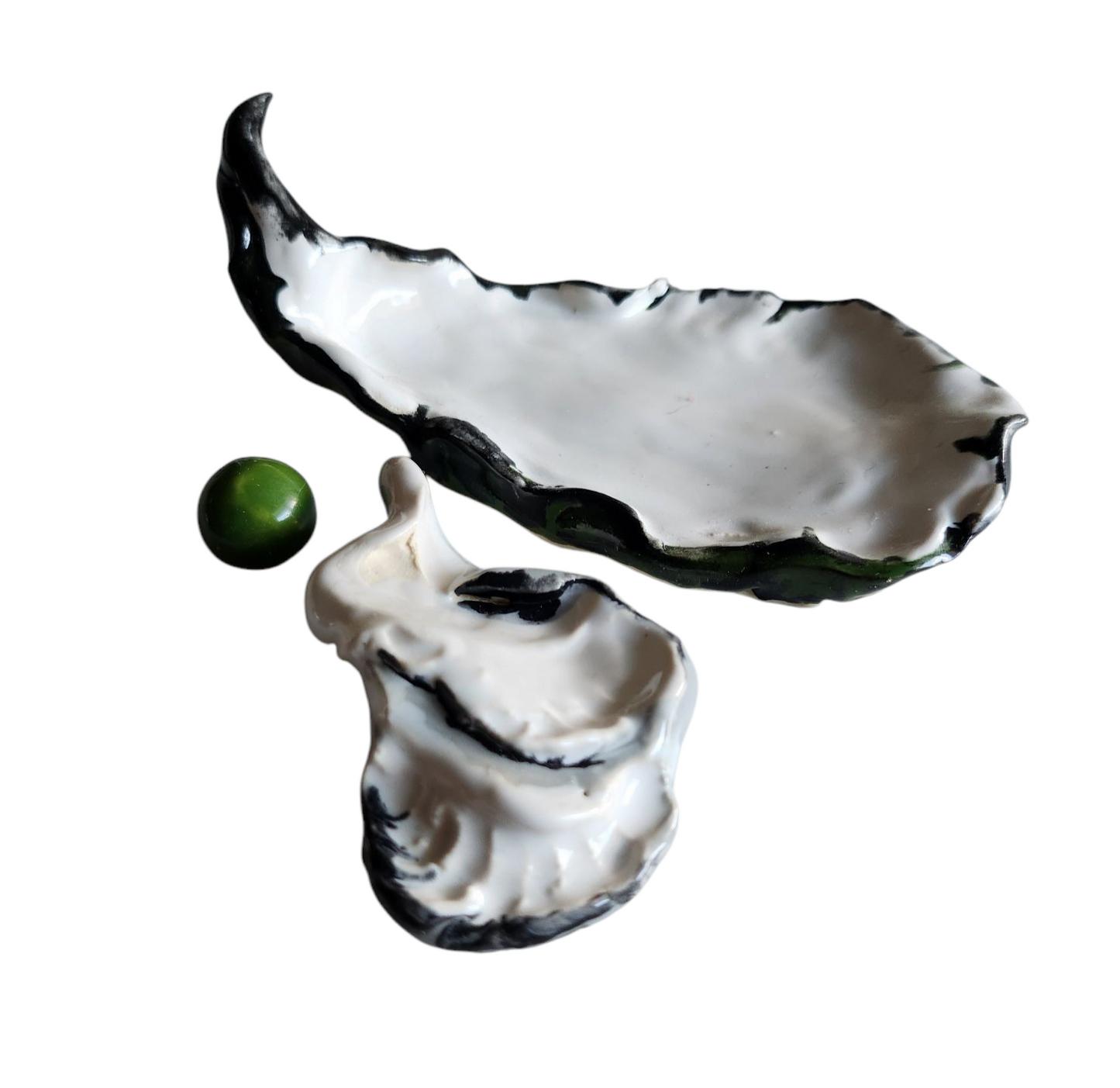 Oyster in 3