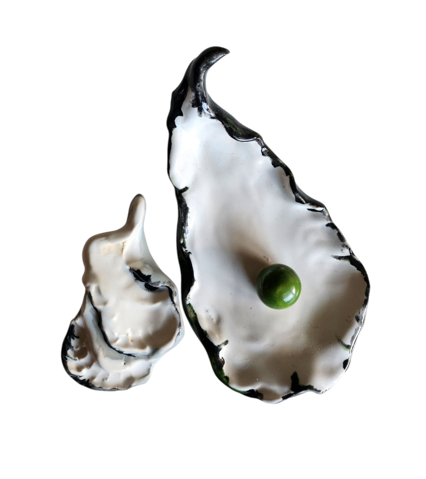 Oyster in 3