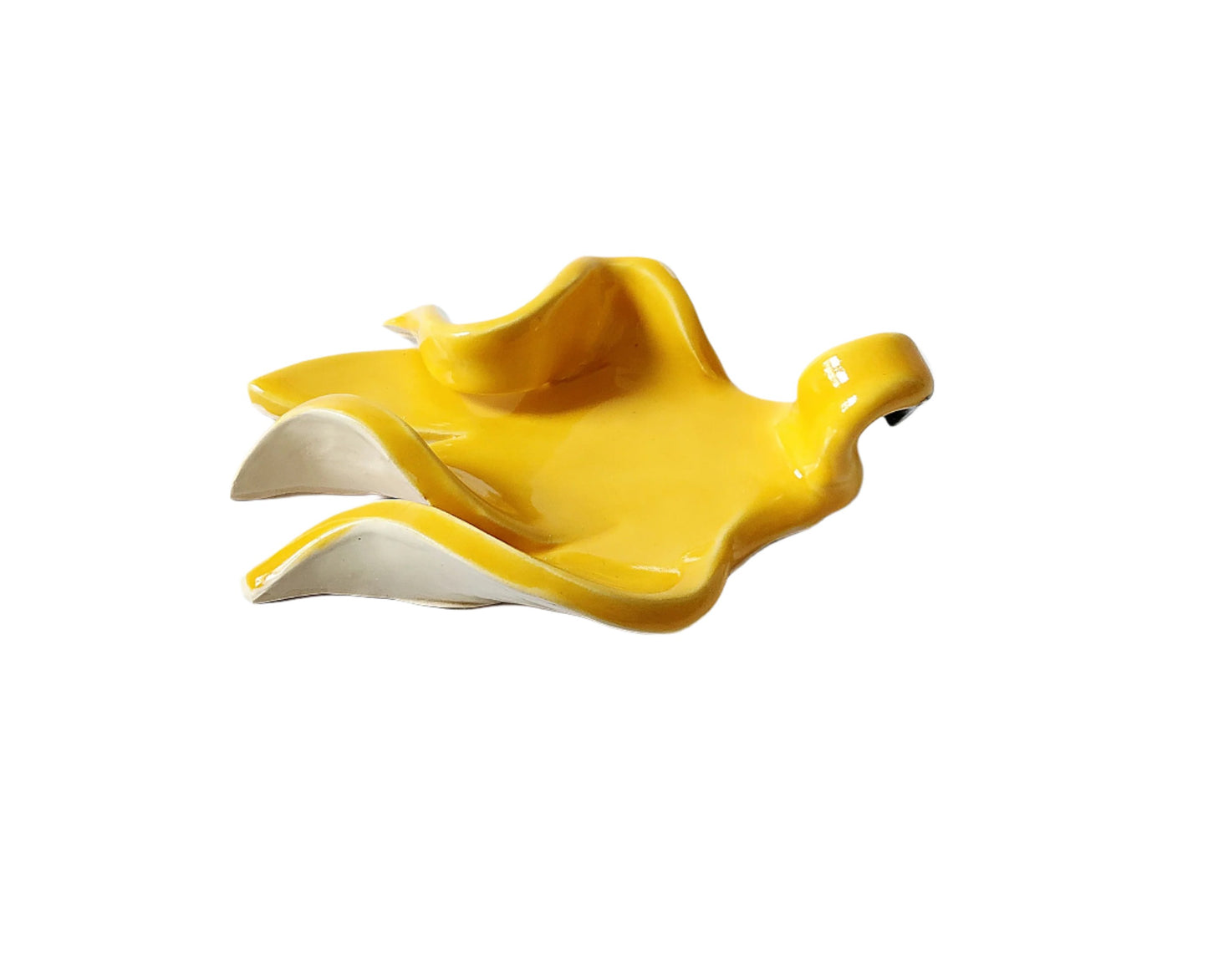 Banana Bird of Paradise