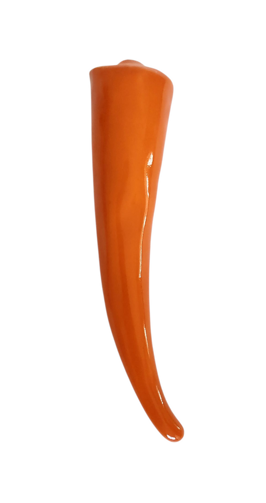 Carrot!🥕