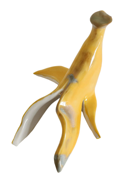 Crystalised Banana skin