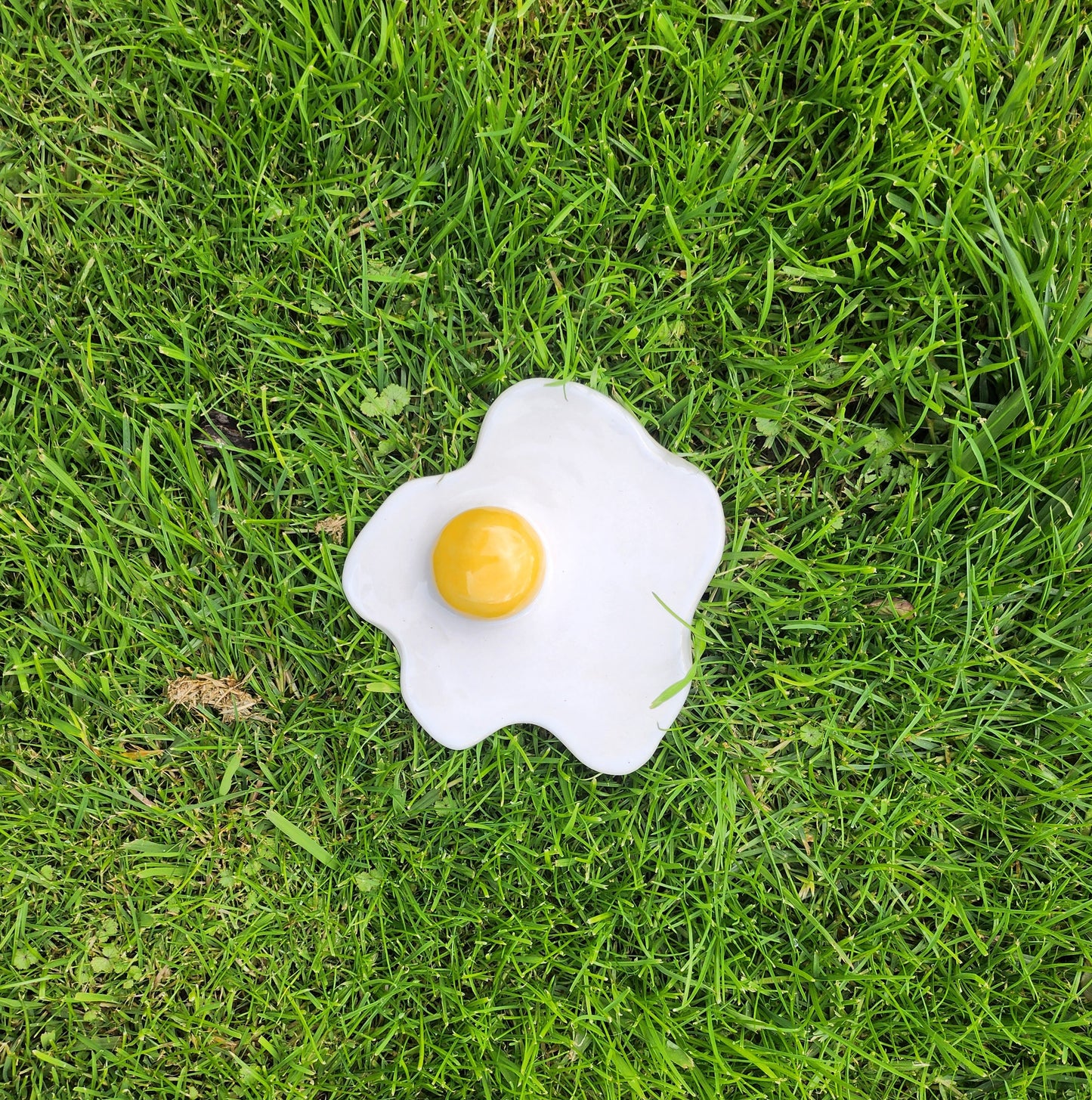 Sunny Side - Flat Egg