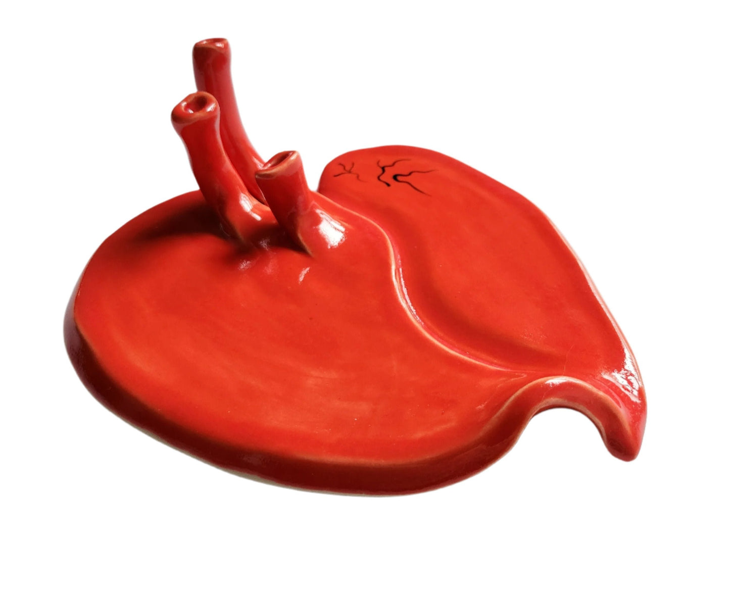 My Heart as a Pump