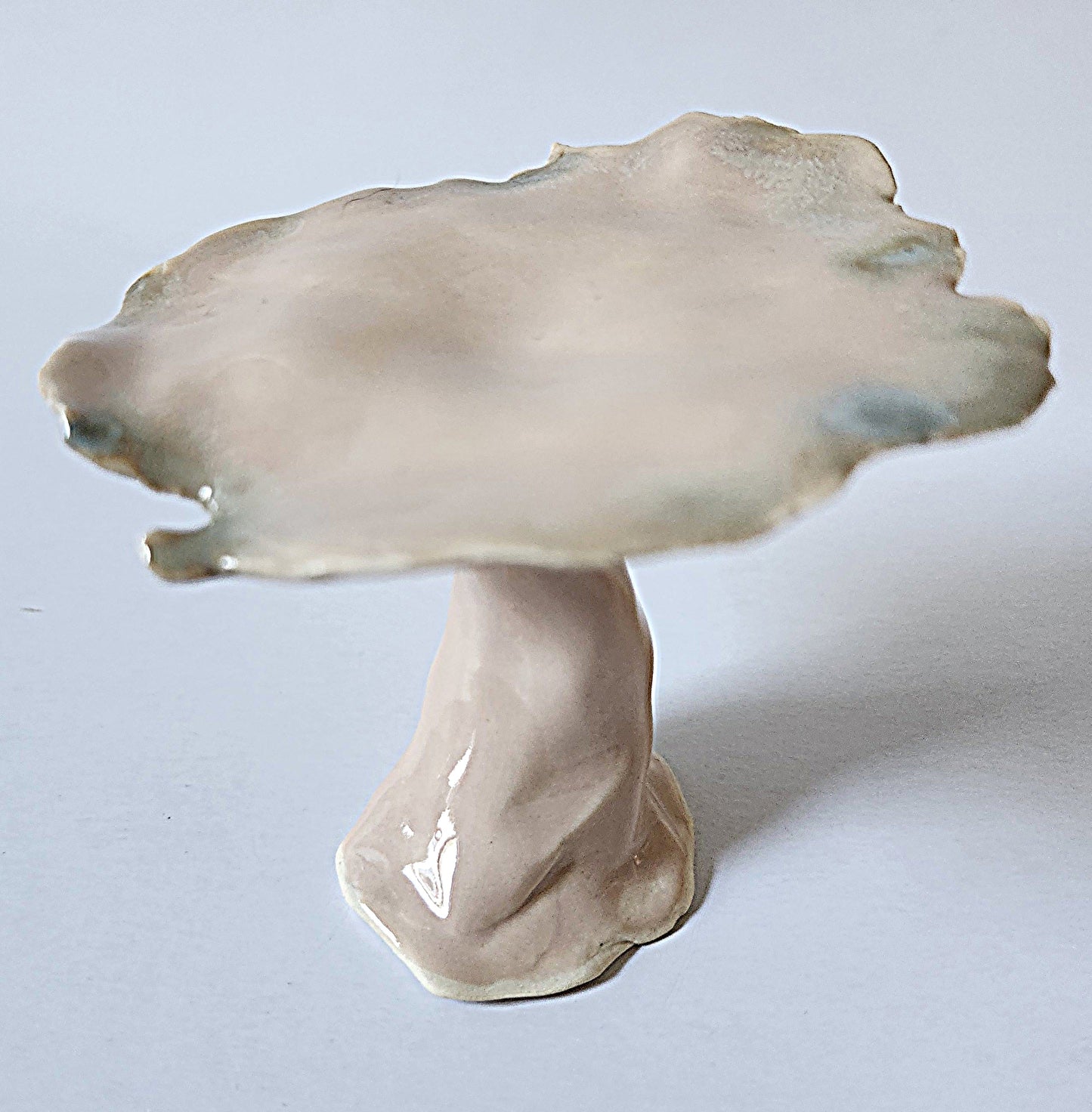 Mushroom - Soap
